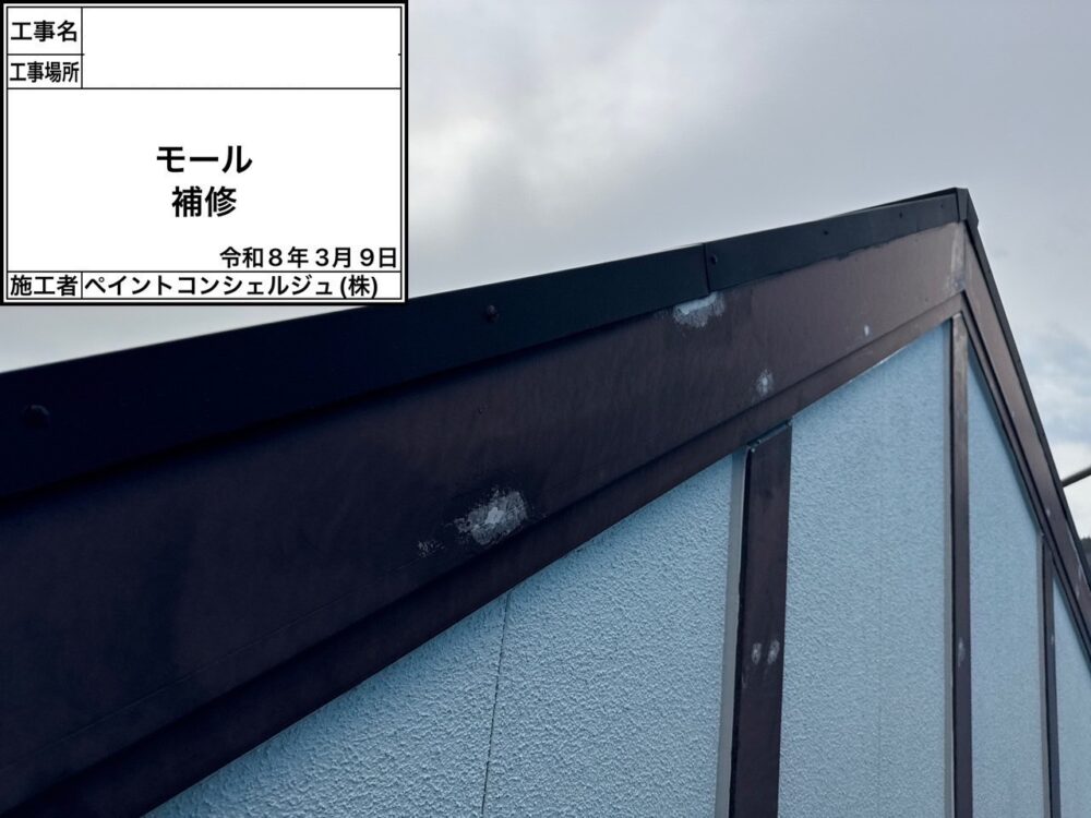 【補修】モール部分