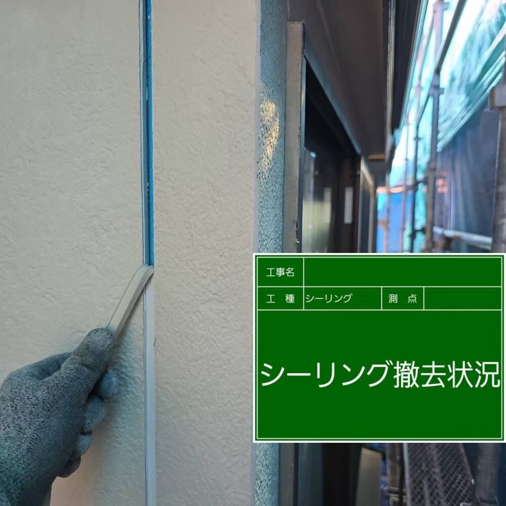 【シーリング】撤去